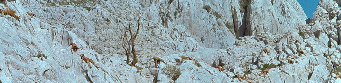 Klicken zum Vergr��ern